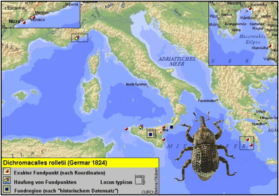 La coccinelle, un coléoptère méconnu - France Bleu